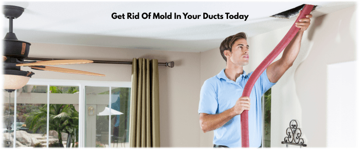 Air Duct Mold Removal in LA