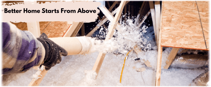 Attic Cleaning LA