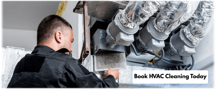 HVAC Mold Removal LA